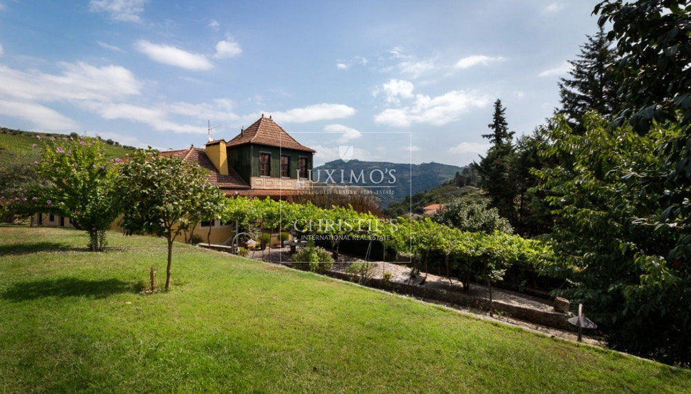 2m Euros buys your own vineyard + European golden visa in DOC Douro valley, Portugal